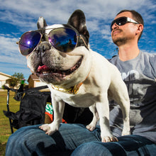 Load image into Gallery viewer, Dog and Men image