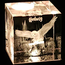 Load image into Gallery viewer, 3D Hedwig Owl LED Light Up Crystal Collectible