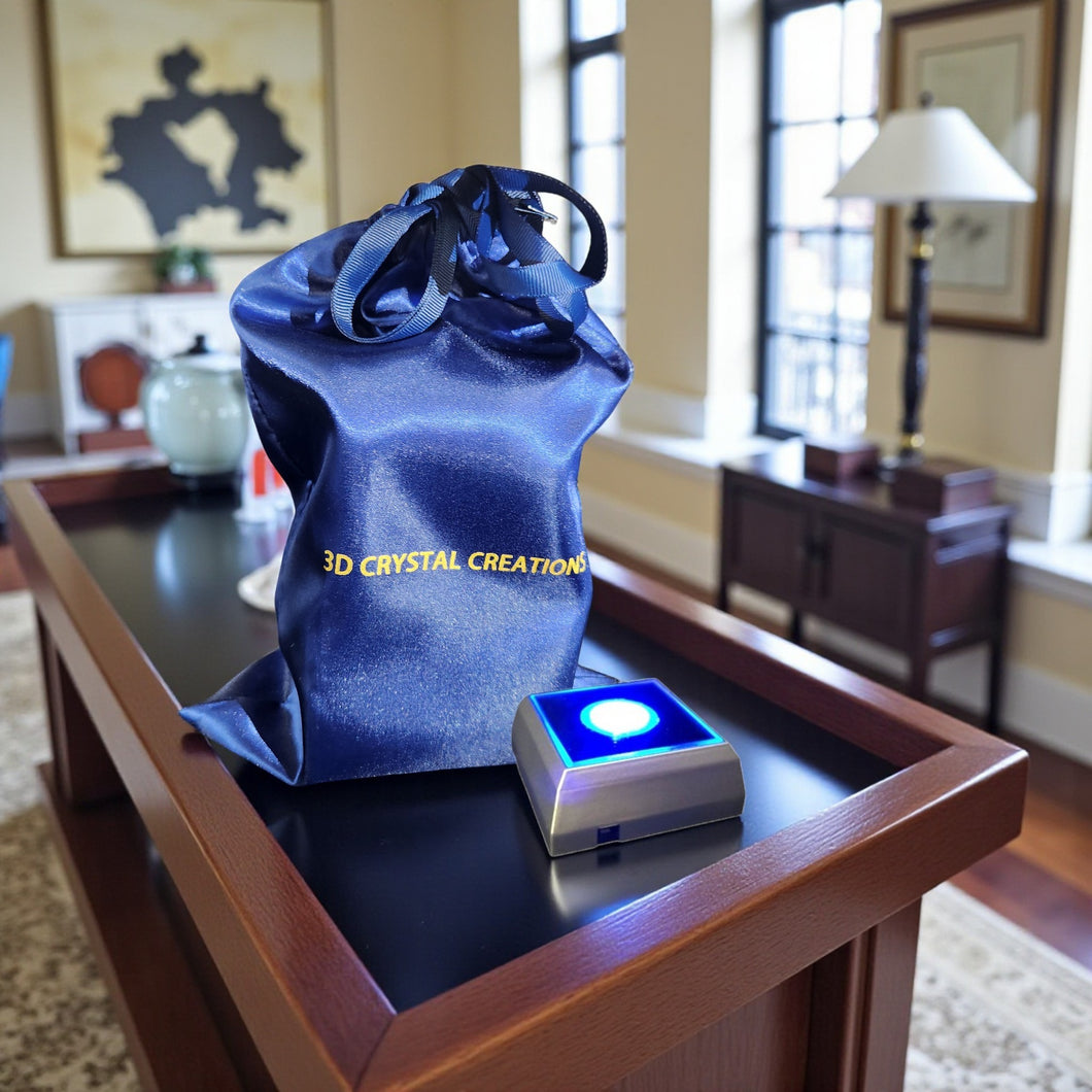 Gift Bag & Multi-Color LED Batt-Operated Light Base Bundle