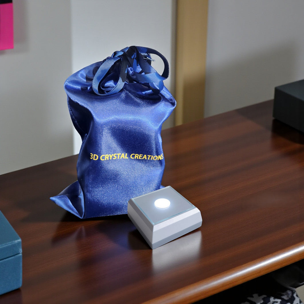 Gift Bag & White 1-Color LED Batt-Operated Light Base Bundle